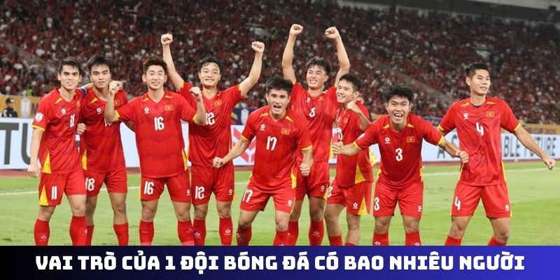 Vai trò của 1 đội bóng đá có bao nhiêu người