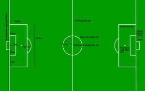 Ý nghĩa vạch kẻ sân bóng FIFA